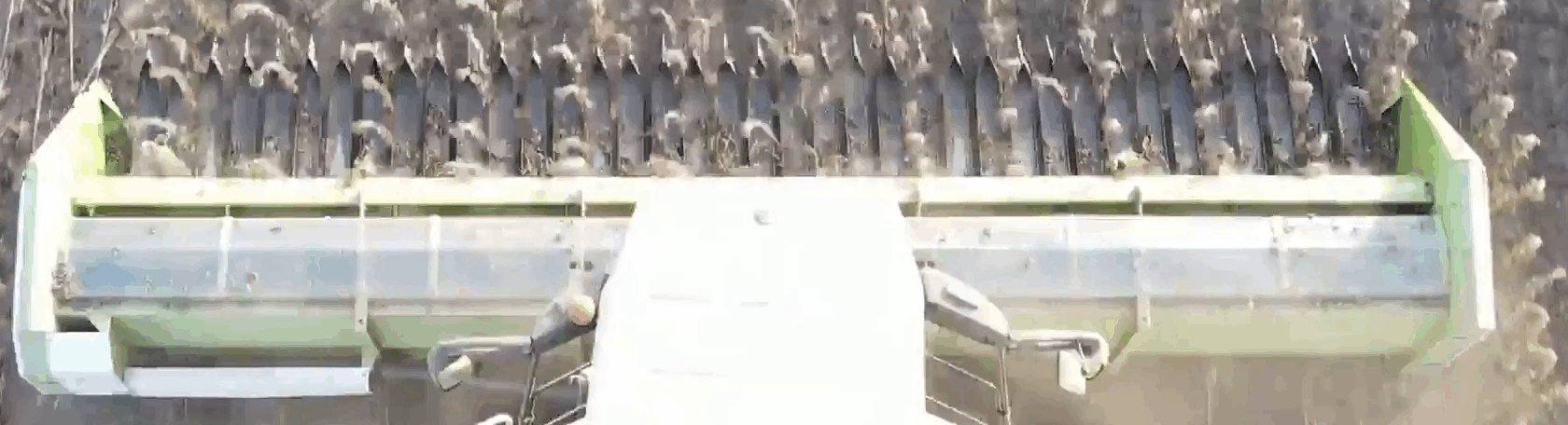 Жатка для подсолнечника первая встречает и обрабатывает урожай