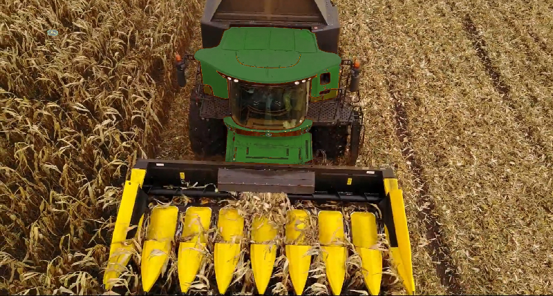 Кукурудзяна жатка від Заводу Жаток