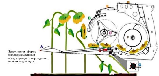 Периоды работы жатки для уборки подсолнечника ЖСН-7,4